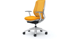 Furniture & Interior