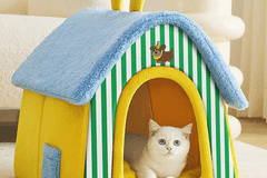 Pet Supplies