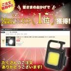 投光器 led キャンプ ライト ランタン 照明 防水 作業灯 USB 充電式 屋外 スタンド 釣り 防水 thumbnail 18