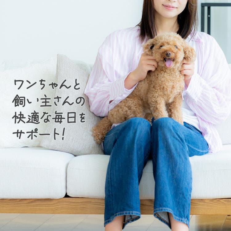 ＼長時間安心／ ペットオムツ 男の子 マナーベルト オス 超小型犬 中型犬 ペット用 紙おむつ 介護 粗相 PitaFit アイリスオーヤマ MNPD * thumbnail 19