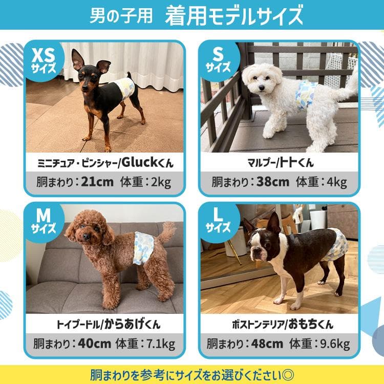 ＼長時間安心／ ペットオムツ 男の子 マナーベルト オス 超小型犬 中型犬 ペット用 紙おむつ 介護 粗相 PitaFit アイリスオーヤマ MNPD * thumbnail 7