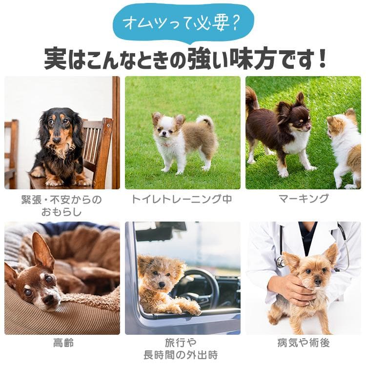 ＼長時間安心／ ペットオムツ 男の子 マナーベルト オス 超小型犬 中型犬 ペット用 紙おむつ 介護 粗相 PitaFit アイリスオーヤマ MNPD * thumbnail 11