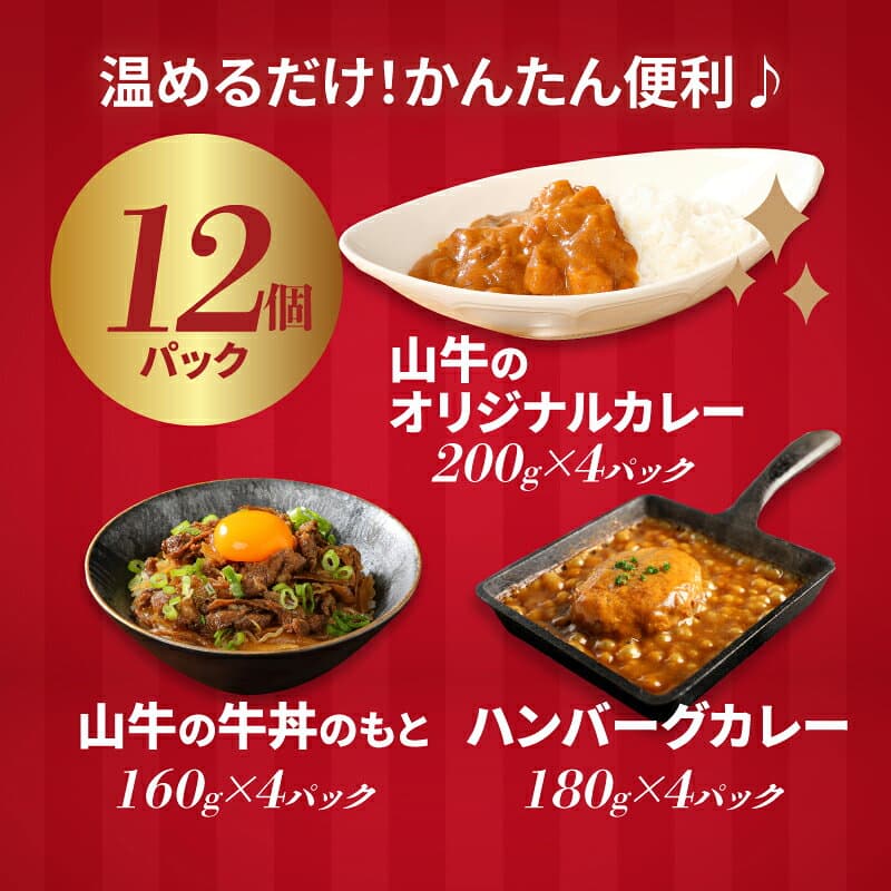 【ふるさと納税】お楽しみ福袋 レトルト詰め合わせ12パックセット - 3種類のレトルト食品 パウチ レトルトカレー/牛丼の具/ハンバーグカレー 常温保存 湯煎調理 お取り寄せグルメ ご当地グルメ 一人暮らし 新生活応援セット 保存食 送料無料【宮崎県木城町】 thumbnail 2