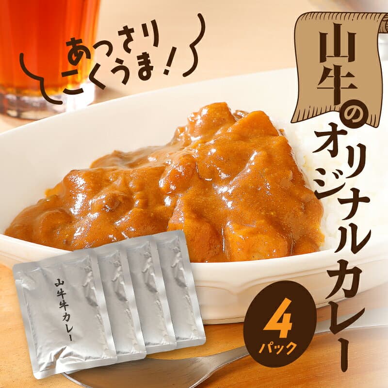 【ふるさと納税】お楽しみ福袋 レトルト詰め合わせ12パックセット - 3種類のレトルト食品 パウチ レトルトカレー/牛丼の具/ハンバーグカレー 常温保存 湯煎調理 お取り寄せグルメ ご当地グルメ 一人暮らし 新生活応援セット 保存食 送料無料【宮崎県木城町】 thumbnail 3