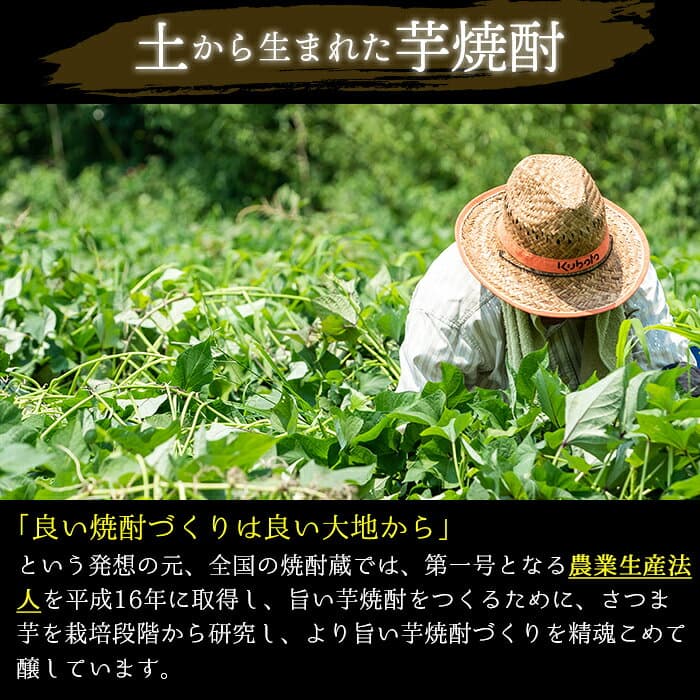 【ふるさと納税】＜本格芋焼酎＞南国酒造・「薩摩」入6本セット(6銘柄・各900ml・計6本) 鹿児島 九州 酒 芋 焼酎 いも焼酎 地酒 薩摩芋 さつま芋 アルコール 飲み比べ セット thumbnail 3