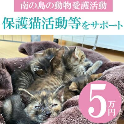 【ふるさと納税】【南の島の動物愛護活動】保護猫活動等をサポート（5万円）- ねこ ネコ 地域猫 保護活動 支援 応援 さくらねこ 動物愛護 保護 里親 寄附のみ 沖縄県 八重瀬町