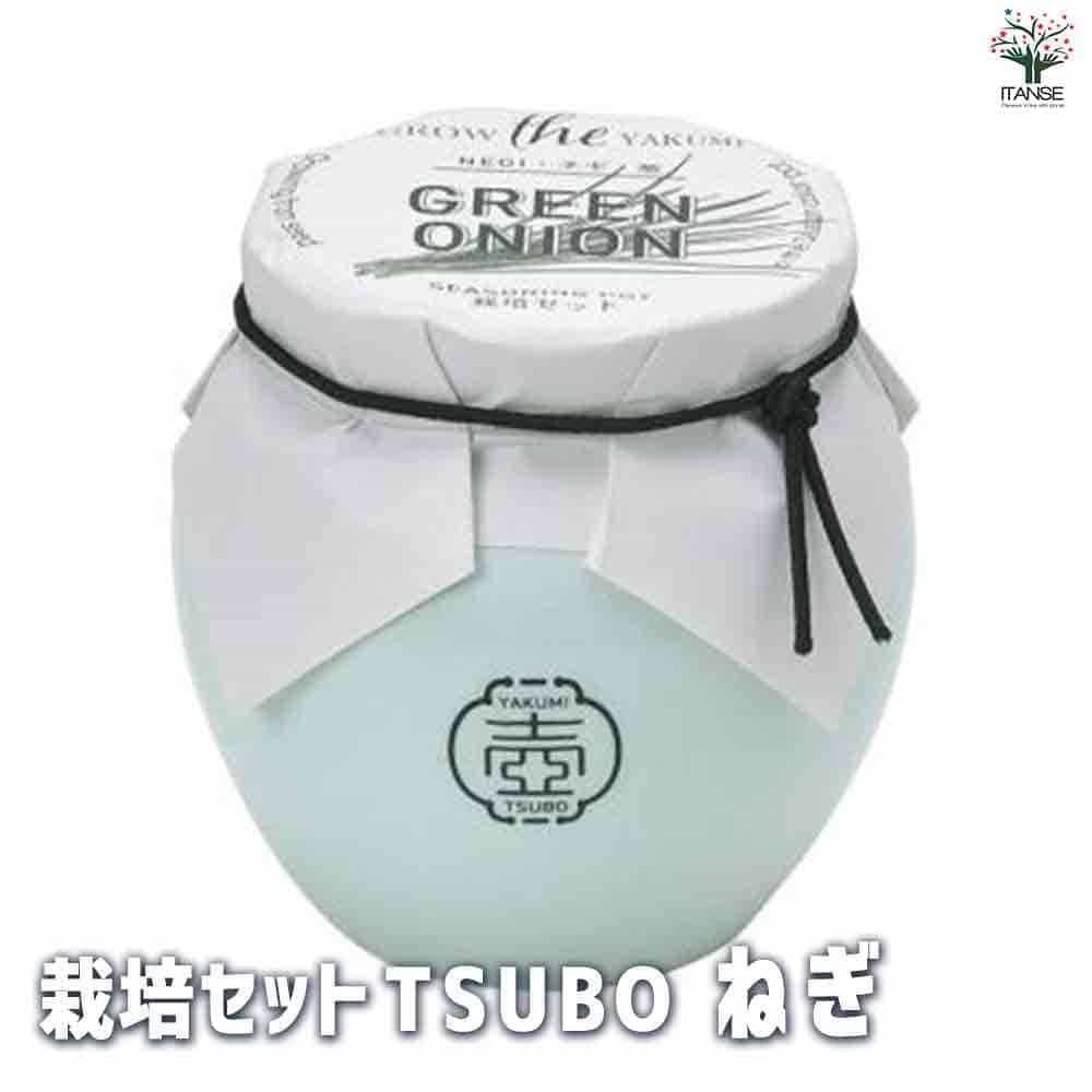 【ポイントUP★マラソン期間】栽培セット TSUBO ねぎ 野菜の苗 簡単キット 栽培キット お手軽ガーデニング 送料無料 即納
