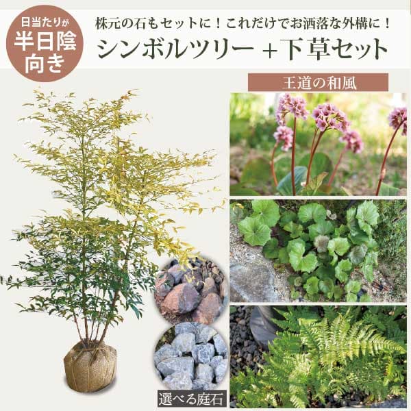 シンボルツリーと宿根草のセット ［和モダン・半日陰］植木・下草・庭石のセット 自分で植えよう！ローメンテナンス 玄関前　外構　エクステリア［GM］［t］