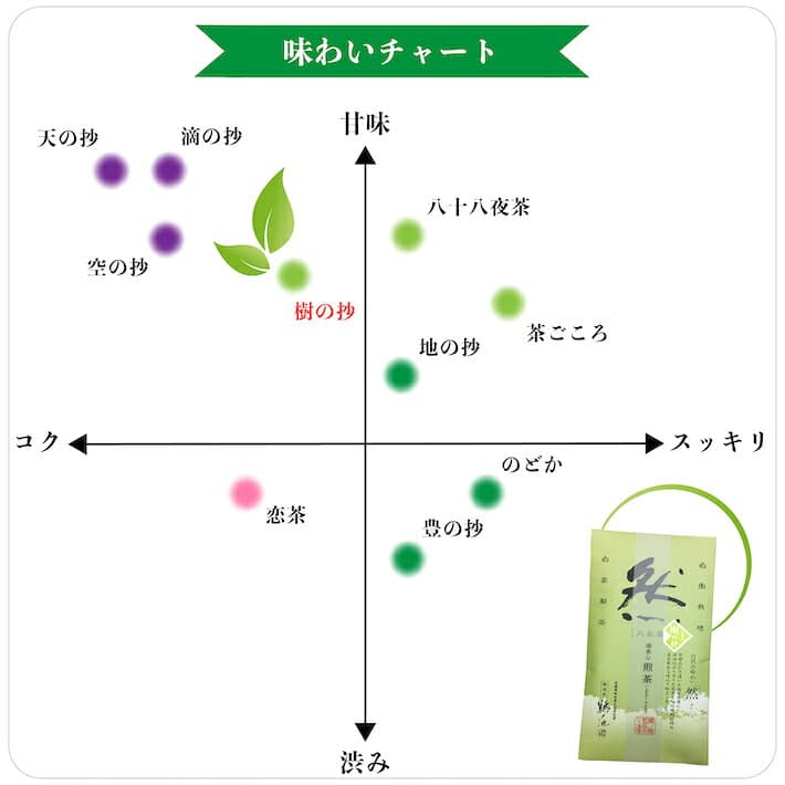 お歳暮 新茶 2026 お茶 ギフト 八女茶 80g 2袋セット 御歳暮 プレゼント 緑茶 茶葉 日本茶 深蒸し茶 法事 お返し 引き出物 お供え物 贈物 内祝 冷茶 一番茶 詰め合わせ 人気 煎茶 緑茶 九州産 誕生日 御仏前 お供え物 ご仏前 志 鵜ノ池製茶 thumbnail 3