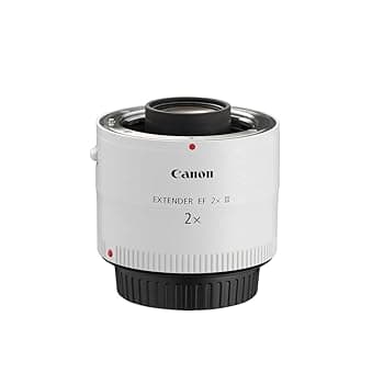 【中古】Canon エクステンダー EF2X III