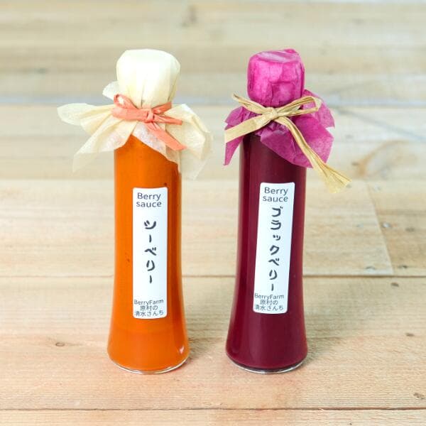 送料無料 超稀少なスーパーフードのベリーソースセット 詰め合わせ 長野県産 お歳暮 御歳暮 冬ギフト 料理にも使える シーベリー ブラックベリー スーパーフード サジー 無添加 農薬不使用 Berry Farm原村の清水さんち 八ヶ岳 熨斗 返礼 ギフト お祝い