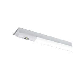 東芝　LEDベースライト　非常用照明器具　非常時高出力タイプ　直付形　40タイプ　W120　2500lmタイプ　Hf32×1灯定格出力相当　昼光色　LEDバー付き　LEKTS412254DLS9(LEETS41202LS9+LEEM40253D01) ※受注生産品