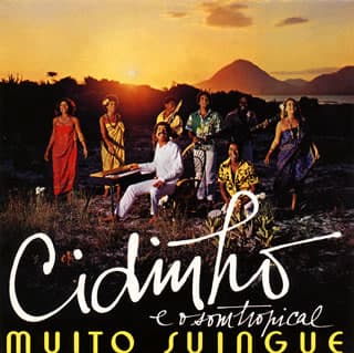 【国内盤CD】【新品】ジヂーニョ・エ・オ・ソン・トロピカル ／ ムイト・スインギ