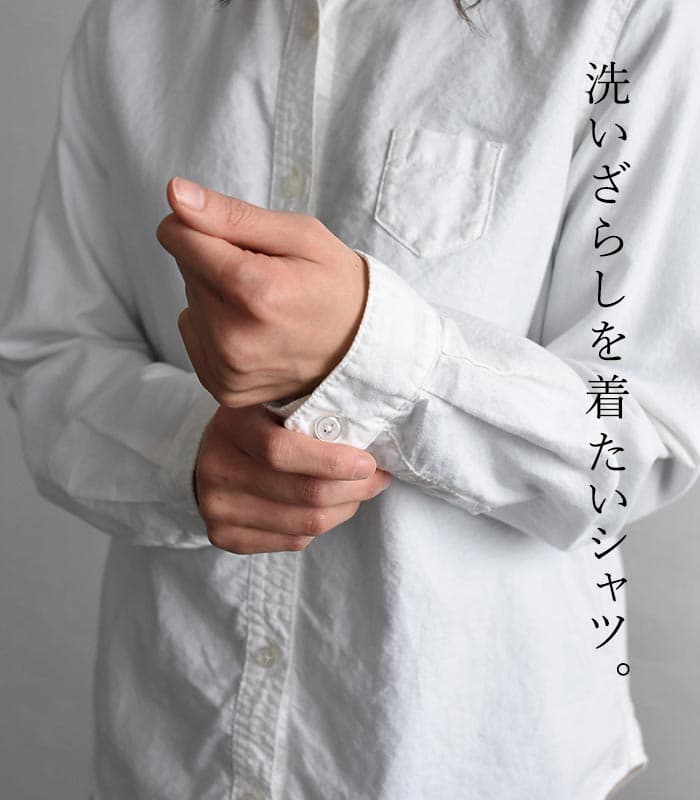 【14%OFF】サンバレー ecoloco別注 ブラウス 長袖 レディース シャツ 綿オックス レギュラー丈 綿100％ コットン／着後レビューでクーポン☆ SUNVALLEY カジュアル トップス 大きいサイズ エコロコ e+,／春 秋冬 26AW0731R, thumbnail 3
