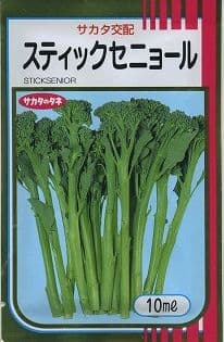 ブロッコリー スティックセニョール 10ml（およそ1500粒） (株)サカタのタネ [種子/野菜]