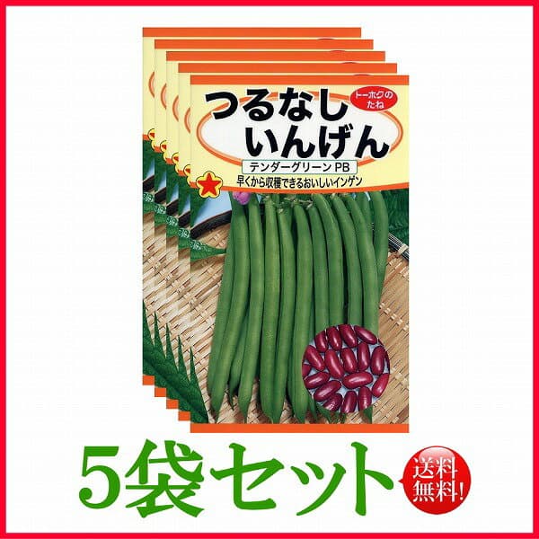 【5袋割引セット♪】【全国送料無料】つるなしいんげん テンダーグリーンPB/ トーホク 野菜 ハーブ 草花 園芸 栽培 肥料 家庭菜園 球根 苗 種まき 種子 たね タネ 植物 ガーデニング ポット じょうろ ★在庫がある商品のみ12時（土日祝を除く）までのご注文で当日出荷