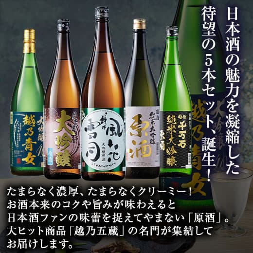 酒 日本酒 純米大吟醸酒 大吟醸酒 特割 越乃五蔵 プレミアム 原酒 飲みくらべ 一升瓶 5本組 セット 1800ml お中元 敬老の日 父の日 ギフト プレゼント 2026 【7560円(税込)以上で送料無料】 thumbnail 2