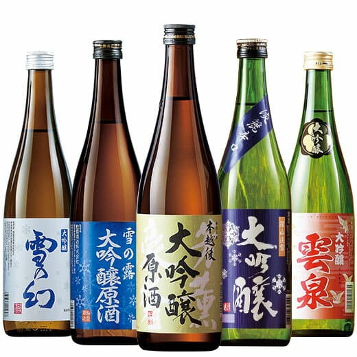 特別送料無料 日本酒 大吟醸酒 特割 越乃五蔵 大吟醸 飲みくらべ 5本組 飲み比べセット 第3弾 720ml 5本 48%オフ お父さん 男性 義父 父 父親 贈り物 お礼 お中元 敬老の日 父の日 ギフト プレゼント