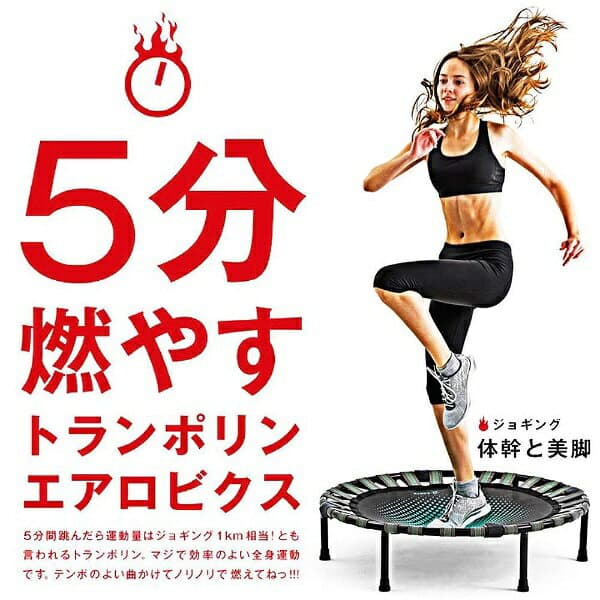 La-VIE｜ラ・ヴィ 健康グッズ B-SANTE(ビ・サンテ)　ダイエットステップ[エクササイズ 家庭用] thumbnail 2