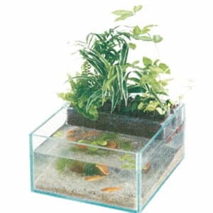 【リニューアル】『アクアテリア メダカ用 KGN190』[水作]【ヒーリングインテリア 水槽 インテリア水槽 メダカ用 水耕栽培】
