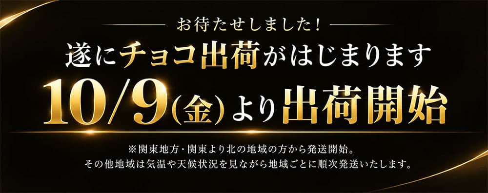 【期間限定 クーポンで50%OFF】 チョコレート スイーツ「 贅沢ハイカカオはじめ 4種から選べる アーモンドチョコ 大容量 300g (ハイカカオ / ミルク / ダーク /ホワイト)」 送料無料 [ 無選別 ハイカカオ ハイビター アーモンド ] お買い物マラソン thumbnail 2