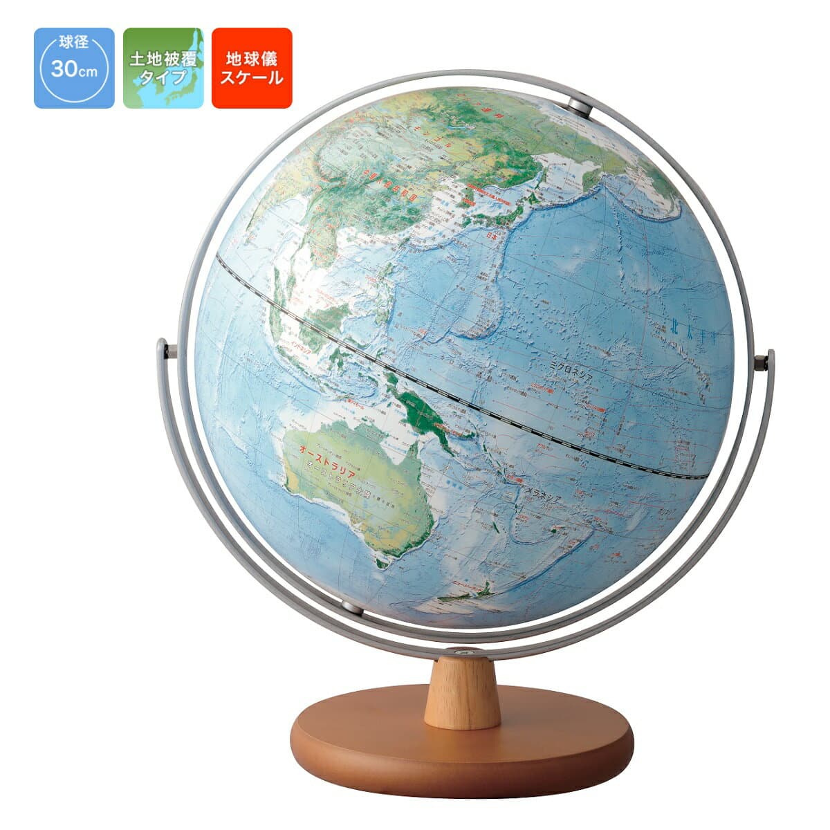 レイメイ藤井　土地被覆タイプ地球儀　球径30cm　全回転　OYV260