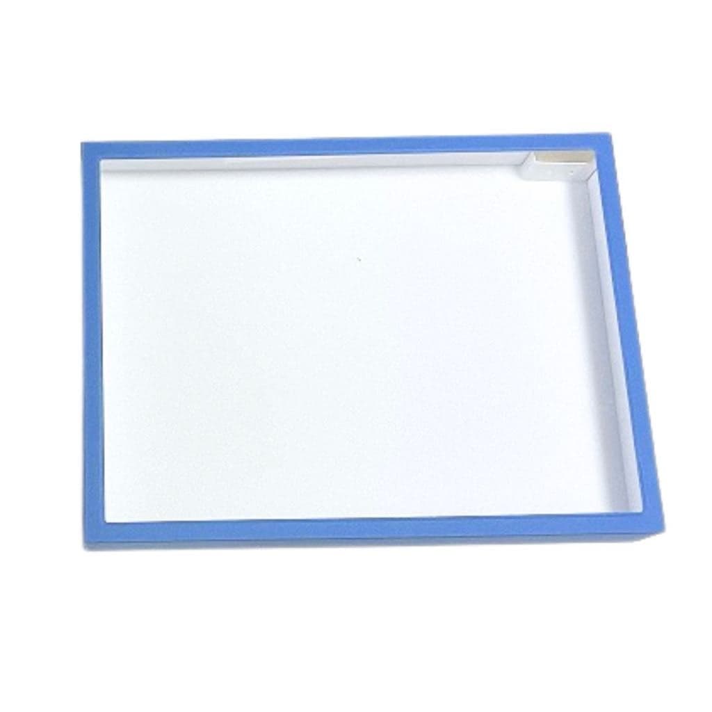 志賀昆虫 ボール紙製標本箱 特々大型 【5個セット】ガラス蓋付き 志賀昆蟲普及社 シガコン 自由研究 昆虫採集 採取