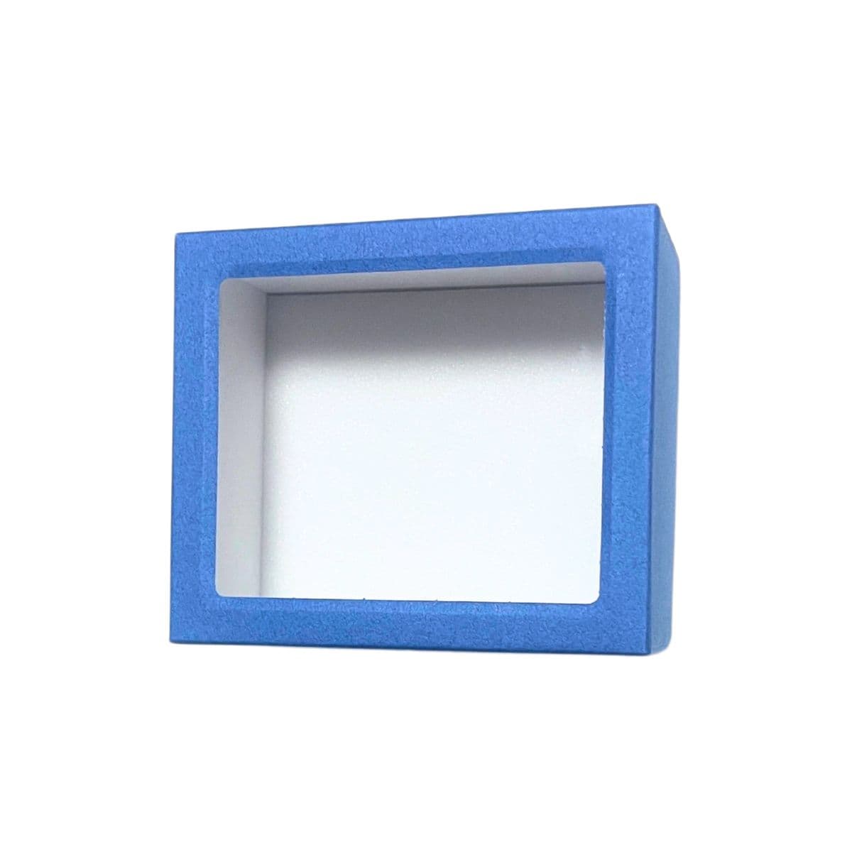 志賀昆虫 ボール紙標本箱 特小　10.5cm×9cm×4.8cm ガラス蓋付【3個セット】志賀昆蟲普及社 シガコン 自由研究 昆虫採集 採取