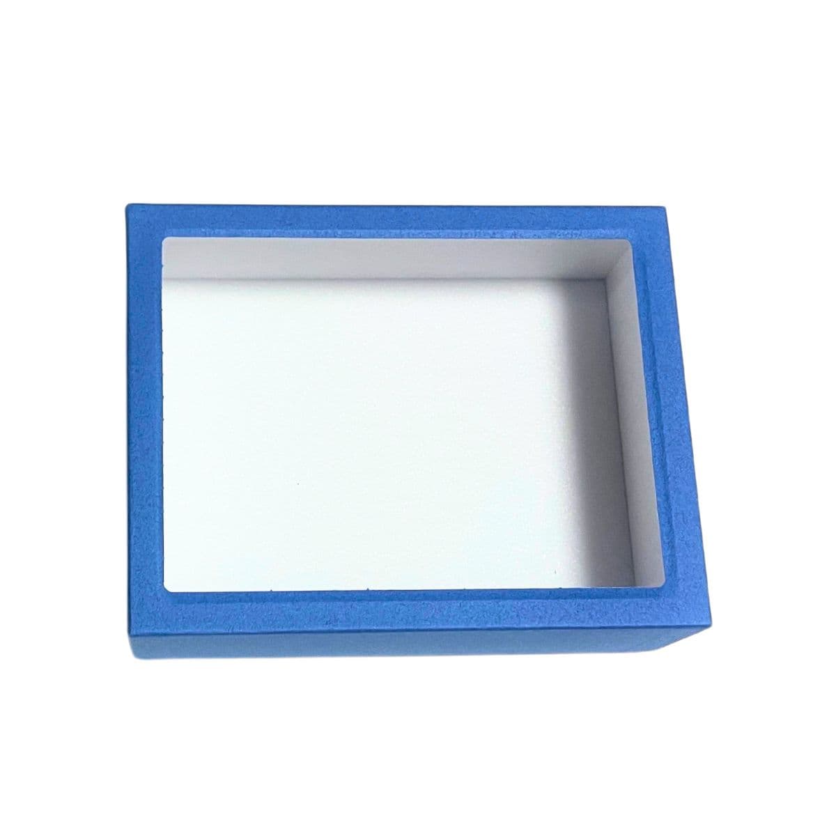 志賀昆虫 ボール紙製標本箱 小型 ガラス蓋付 志賀昆蟲普及社 シガコン 自由研究 昆虫採集 採取