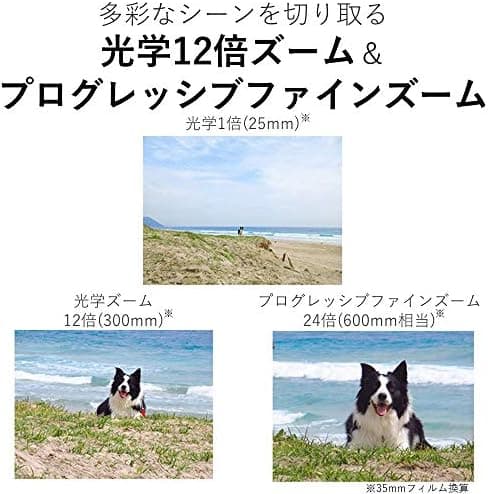 【中古】 キヤノン Canon コンパクトデジタルカメラ IXY 650 シルバー シルバー 光学12倍ズーム/Wi-Fi対応 IXY650SL 当店保証30日間 人気 コンパクトデジタルカメラ コンデジ デジカメ 中古 thumbnail 2