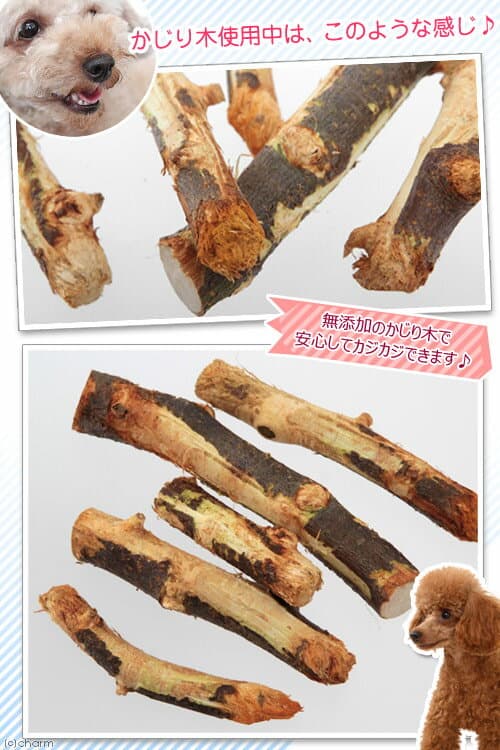 国産　りんごの木　犬用　2本入　おもちゃ　無添加　無着色　小型犬　中型犬　犬　用品　Leaf　関東当日便 thumbnail 2