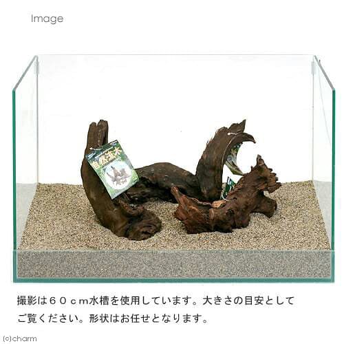 形状お任せ　自然流木　中（約20cm〜）　1本　アクアリウム　水槽　関東当日便 thumbnail 2