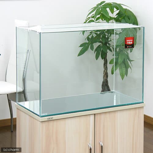 GEX　ガラス水槽　グラステリア600　（60×30×40）　60cm水槽（単体）　ジェックス　お一人様1点限り　関東当日便