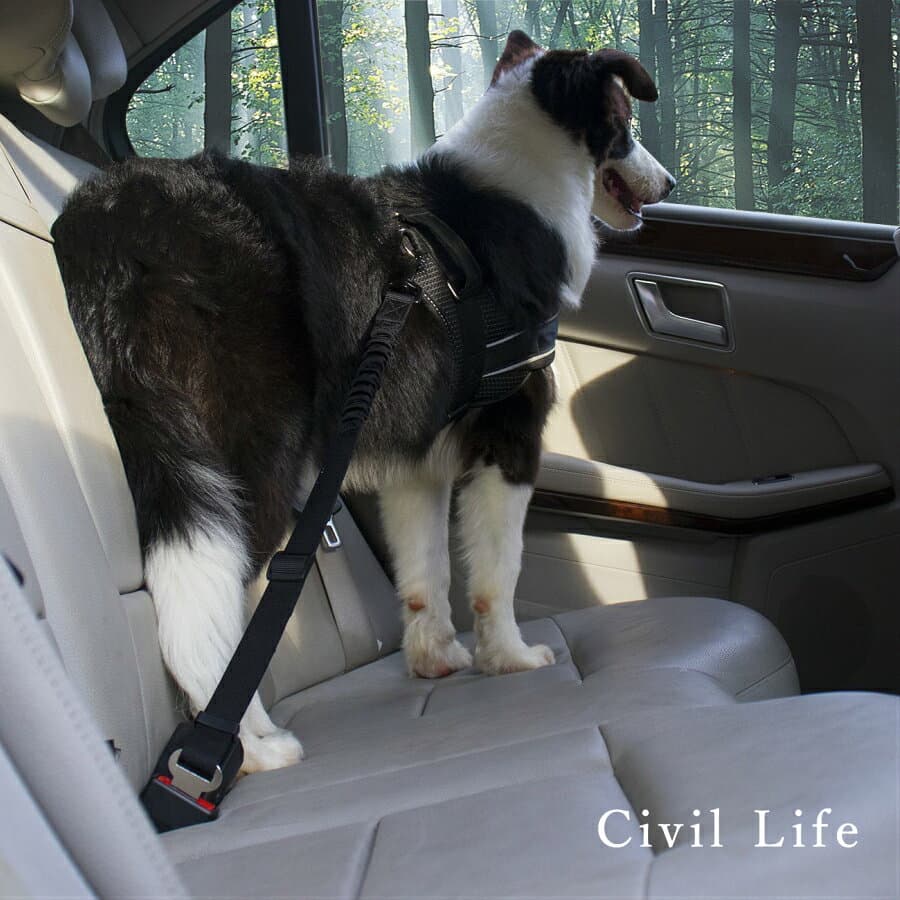 [Civil Life]犬 シートベルト ペット用 シートベルト 犬 猫 車専用リード 安全ベルト 長さ調整可 簡単装着 飛びつく防止 全車種・全種犬猫適応 【送料無料・ポスト投函】 ペット用品・ペットグッズ 犬用品 ドライブ アウト thumbnail 2
