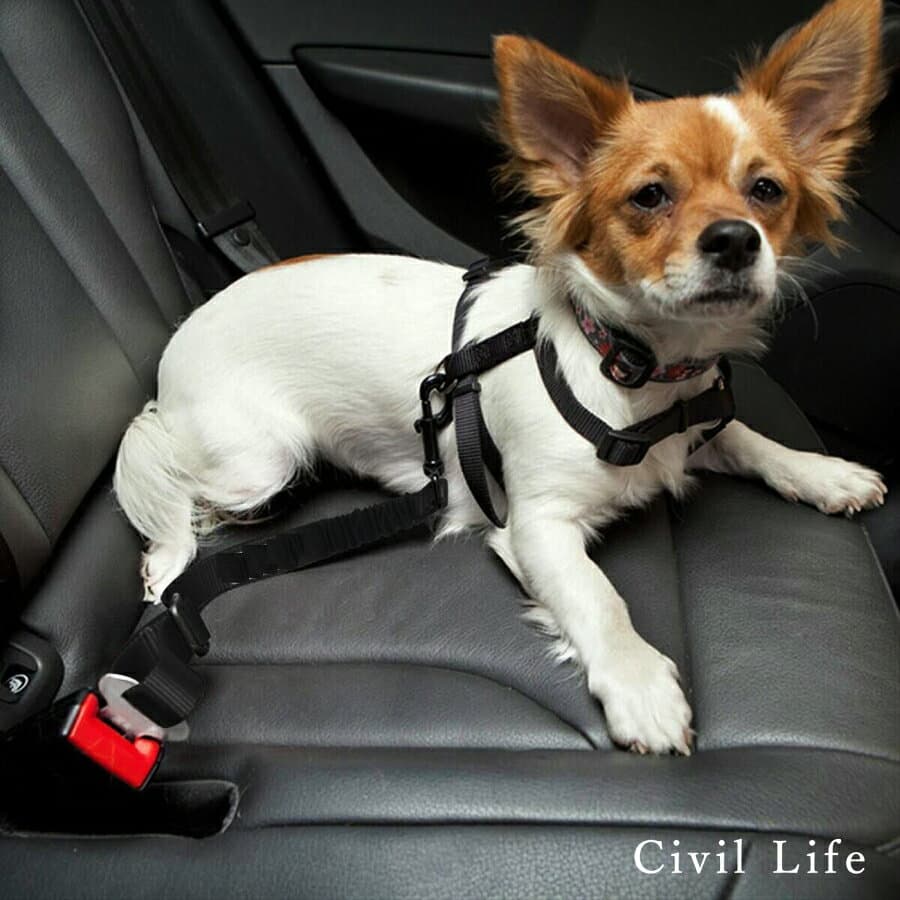 [Civil Life]犬 シートベルト ペット用 シートベルト 犬 猫 車専用リード 安全ベルト 長さ調整可 簡単装着 飛びつく防止 全車種・全種犬猫適応 【送料無料・ポスト投函】 ペット用品・ペットグッズ 犬用品 ドライブ アウト thumbnail 3