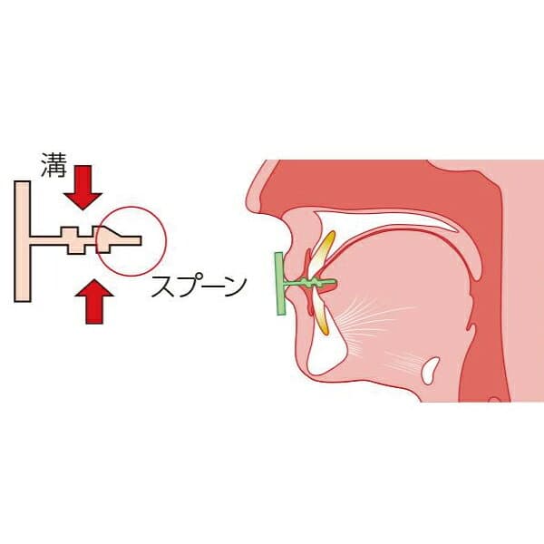 【★ポイント5倍 10/10 0:00-10/12 23:59】タッチスティック（正常咬合用）2個入 ライトグリーン/大・グリーン/小 各1個 thumbnail 2