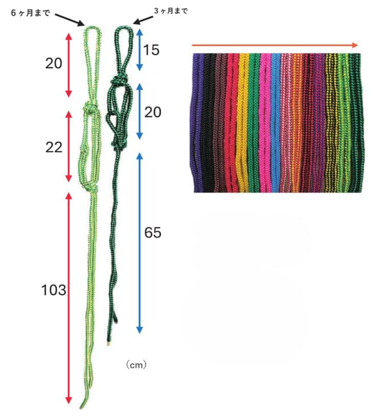 仔牛用 頭絡【 仔牛用モクシ 各色 】3カ月まで用 6カ月まで用 カラフル 和牛用 乳牛用 ロープ モクシ もくし リード たてご もがた あけご たつ