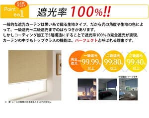 【9日01:59まで★対象商品 最大50%OFF】 ロールスクリーン 一級遮光 遮熱 防音 ロールカーテン 遮光 高断熱 オーダー 無地 北欧 押入れ 一級遮光ロール カーテンレール 取り付け 既製品 thumbnail 3