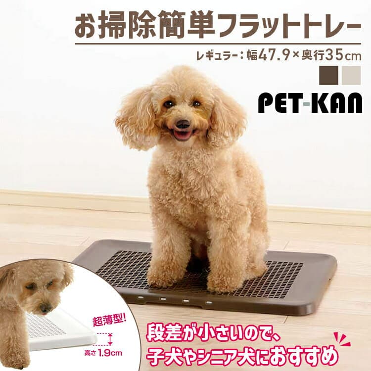 【ポイント10倍★9日9:59迄】犬 トイレ お手入れ簡単 メッシュ お掃除簡単フラットトレー レギュラー トレー 薄型 パピー シニア お掃除簡単 ペット用品 ズレにくい Richell リッチェル ダークブラウン アイボリー【tryCP】【犬】