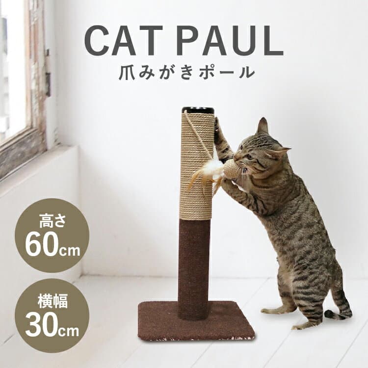 【ポイント5倍★9日9:59迄】爪とぎ 爪研ぎ 猫 ポール おもちゃ 自立 爪みがき 用 爪みがき 据え置き 高さ1m タワー コンパクト ねこ 爪みがき つめ研ぎ 鳥 室内 おしゃれ かわいい 置くだけ 毛羽立ちにくい モダンルーム キャティーマン 【新】