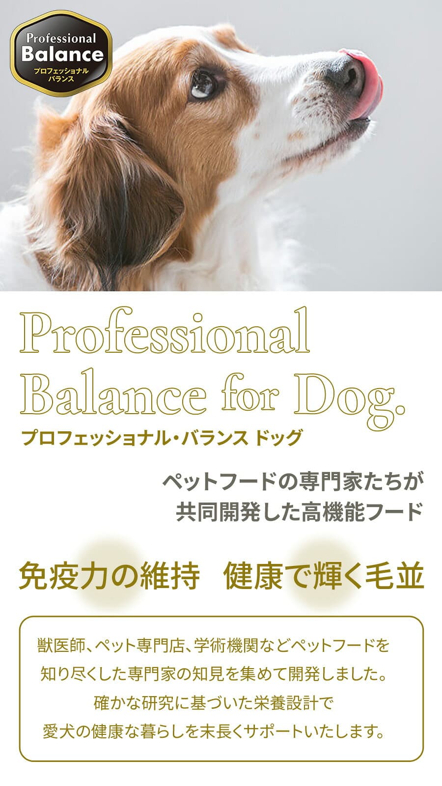 【10/10 要エントリー最大100％ポイントバック】プロフェッショナルバランス 1歳から体重管理用6kg（500g×12）ドッグフード 成犬 ライト 犬 アダルト 低カロリー ダイエット ドックフード プロフェッショナル・バランス ペットフード 分包 小分け【D】 thumbnail 3