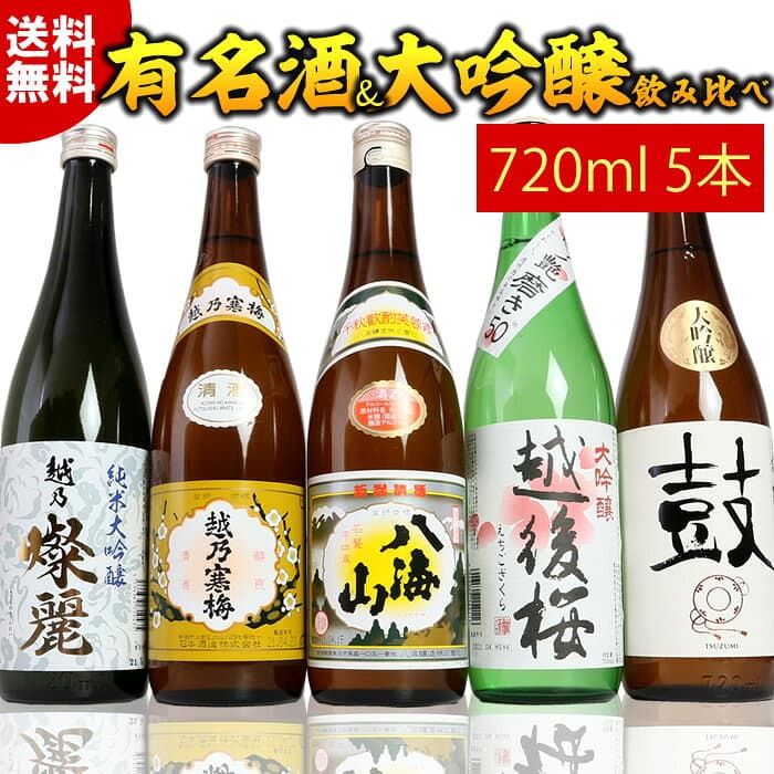 【お買い物マラソンポイント2倍】日本酒 セット 純米大吟醸 大吟醸 有名酒飲み比べセット720ml 5本 越乃寒梅 八海山 日本酒 純米大吟醸 大吟醸酒 特割四合瓶 5本組 プレゼント ギフト お酒 日本酒 送料無料 横型の陣