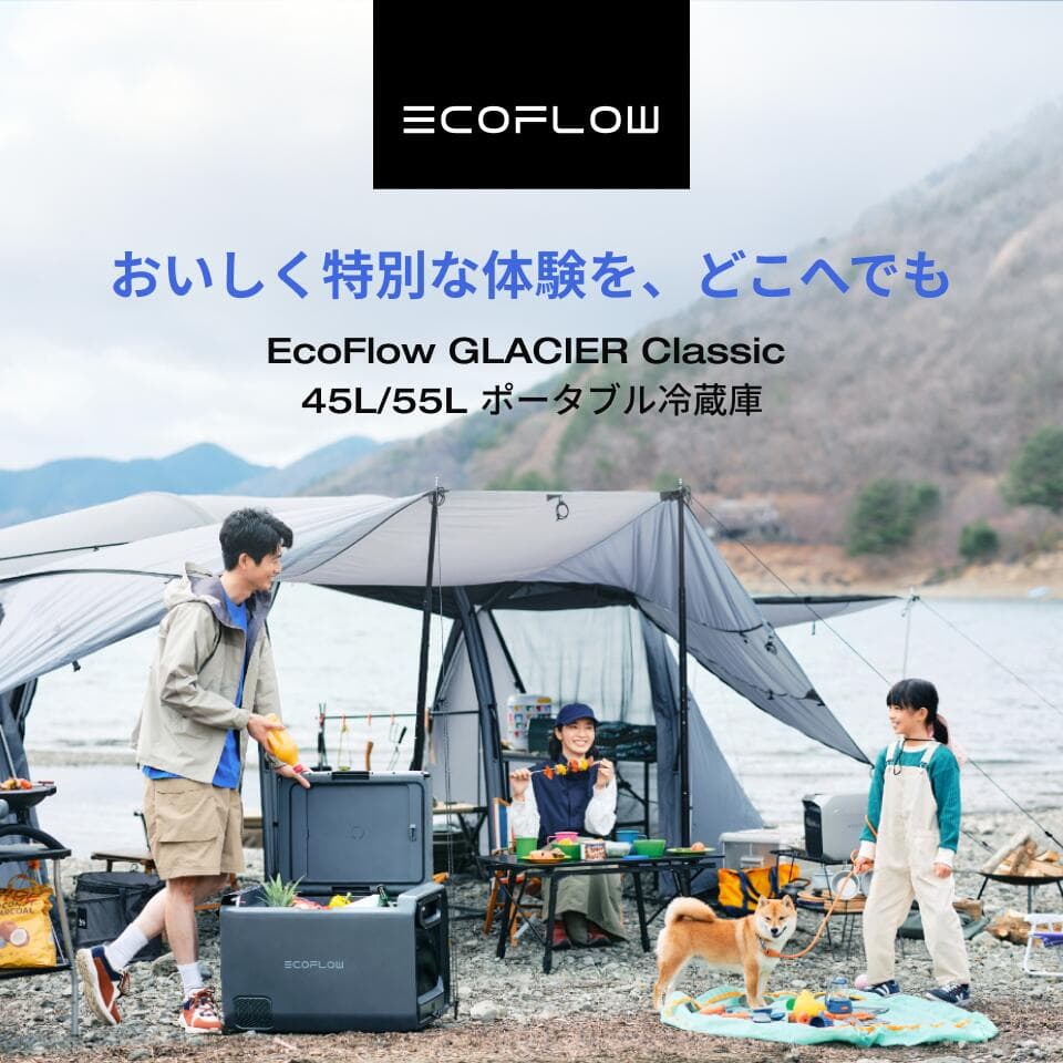 【クーポン利用で114,984円 10/1~】GLACIER Classic 45L 55L ポータブル冷蔵庫 + 専用バッテリーパック セット 大容量 冷凍 車載冷蔵庫 冷凍庫 クーラーボックス 車中泊 キャンプ 暑さ対策 熱中症 アウトドア 釣り 停電 防災対策 静音 thumbnail 3
