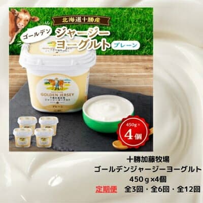 【ふるさと納税】【毎月定期便】ゴールデンジャージーヨーグルト 450g×4個(全3回、6回、12回)【配送不可地域：離島】【G4013284】