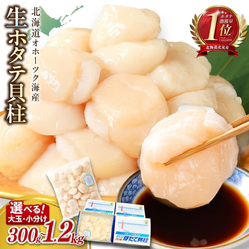 【ふるさと納税】総合1位 大粒 ホタテ 貝柱 300g〜1.2kg 生食用 玉冷 （ ほたて 帆立 ホタテ貝柱 刺身 オホーツク 海鮮 冷凍 ギフト 発送時期が選べる 北海道 北見市 旬 ）