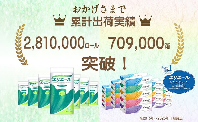 【ふるさと納税】エリエール トイレットティシュー ダブル ボックスティシュー 定番 2品 組み合わせ トイレットペーパー 箱 ティッシュ トイレ 防災 常備品 備蓄品 消耗品 日用品 生活必需品 　お届け：入金翌月中旬以降出荷 thumbnail 2