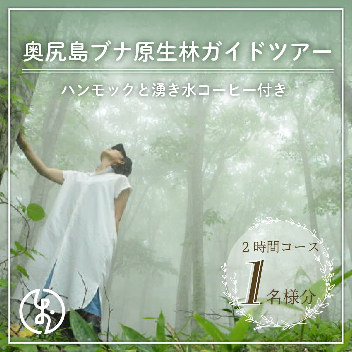 【ふるさと納税】奥尻島ブナ原生林ガイドツアー 1名様分(ハンモックと湧き水コーヒー付き 2時間) 体験チケット 体験 ブナ原生林 ガイド ツアー ハンモック 湧き水 自然林 散策 OKUE004