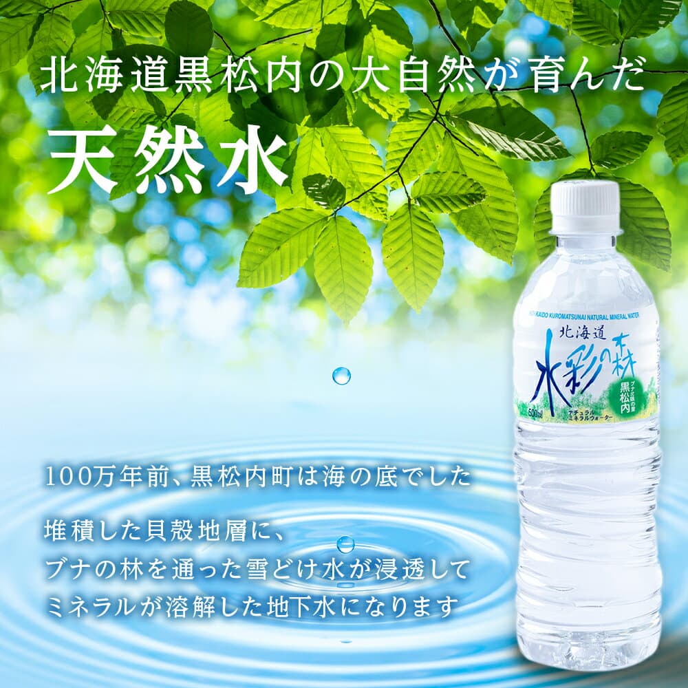 【ふるさと納税】【定期便】黒松内銘水 水彩の森 500ml 選べる定期便 24本（1箱）・48本（2箱） 北海道 ミネラルウォーター天然水 水 国産 国内 硬水 中硬水 ナチュラル ミネラル 天然水 黒松内町 通販 ギフト 贈答品 贈り物 アウトドア キャンプ 飲料水 防災 災害 thumbnail 2