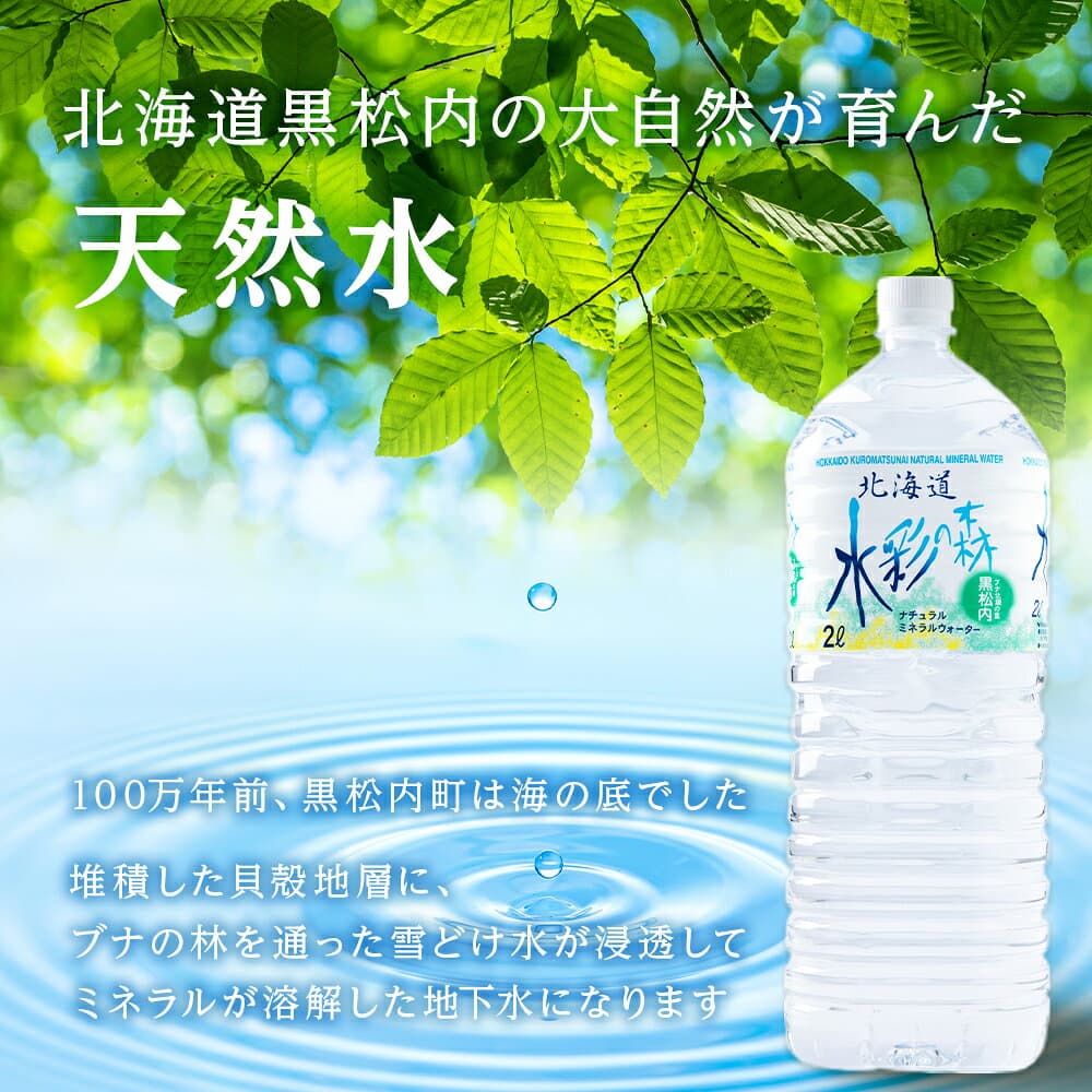 【ふるさと納税】【定期便】黒松内銘水 水彩の森 2L 選べる定期便 6本・12本（2箱）・24本（4箱） 北海道 ミネラルウォーター天然水 水 国産 国内 硬水 中硬水 ナチュラル ミネラル 天然水 黒松内町 通販 ギフト 贈答品 贈り物 アウトドア キャンプ 飲料水 防災 災害 thumbnail 2