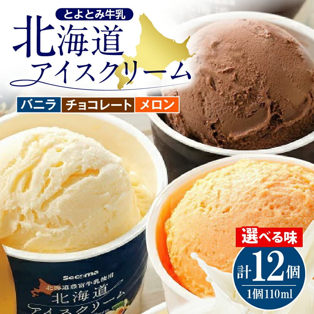 【ふるさと納税】＼ 高評価 ／ 北海道 アイスクリーム 110ml 12個 ( 選べる : バニラ ・ チョコレート セット / バニラ / メロン ) セイコーマート セイコマ セコマ アイス チョコ 詰め合わせ 食べ比べ ギフト 贈答 プレゼント お取り寄せ 人気 美味しい スイーツ 豊富町